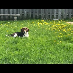 Meet your Posher, Denise